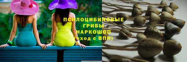 каннабис Алзамай