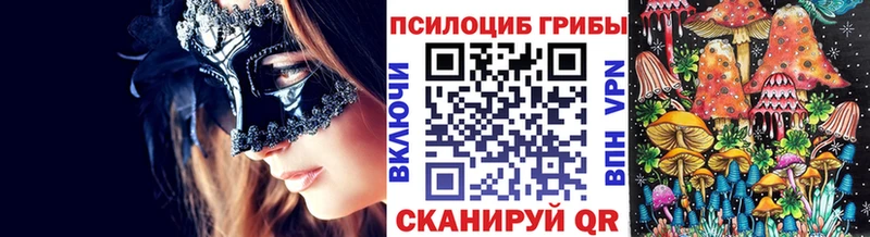 KRAKEN маркетплейс  Владивосток  Псилоцибиновые грибы GOLDEN TEACHER 